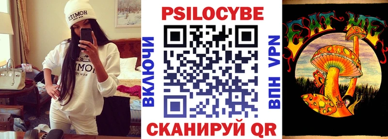 мега вход  Родники  Галлюциногенные грибы Magic Shrooms  где купить наркоту 